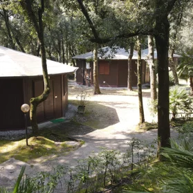 Bungalow tra gli alberi del parco