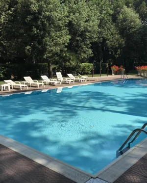 Piscina tra gli alberi